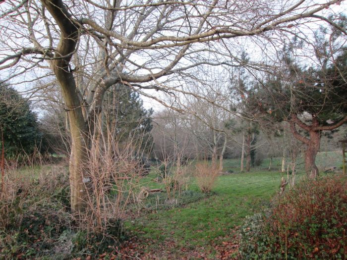 prairie-hiver-apres-Tonte12