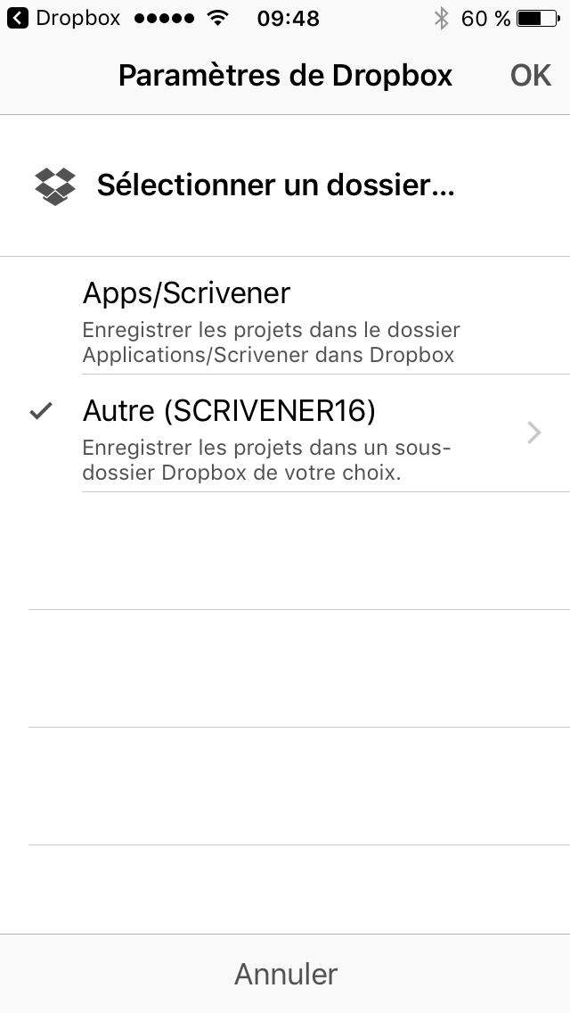 6-iOS_Dossier